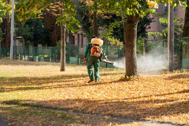 Best Wasp Removal Services  in Penn Estates, PA