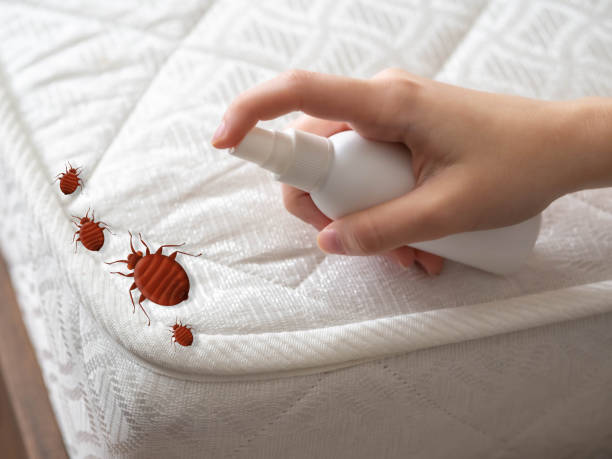 Best Emergency Pest Control  in Penn Estates, PA