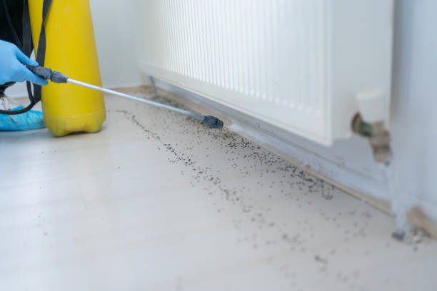 Best Wildlife Control Services  in Penn Estates, PA